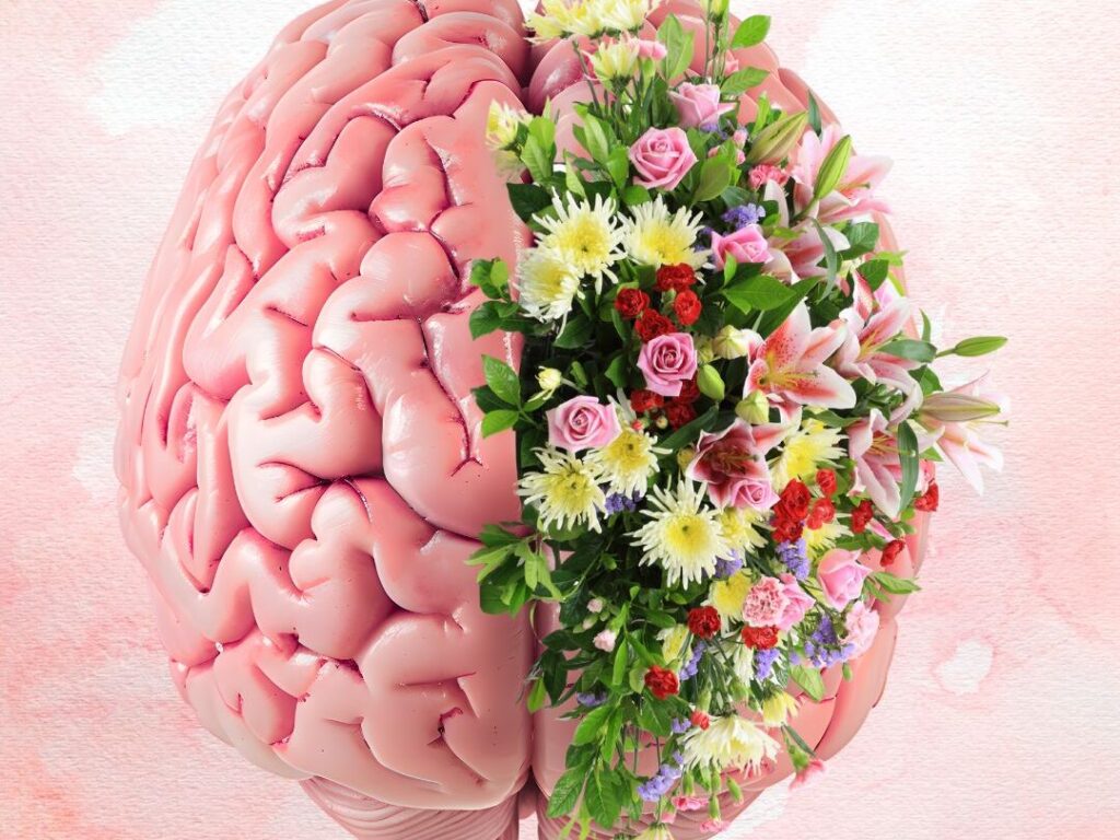 neuromedytacja